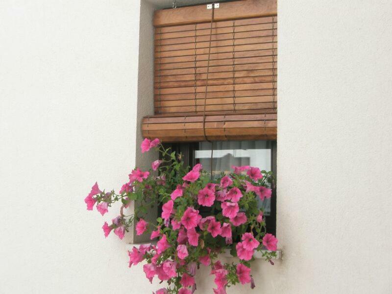 Apartamentos La Ribera Kordoba Zewnętrze zdjęcie